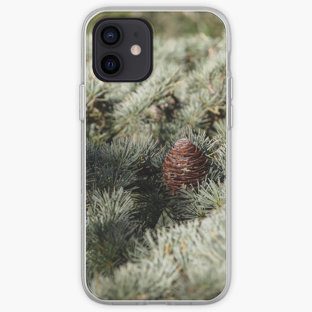 In the woods - Fir Tree iPhone Case & Cover
