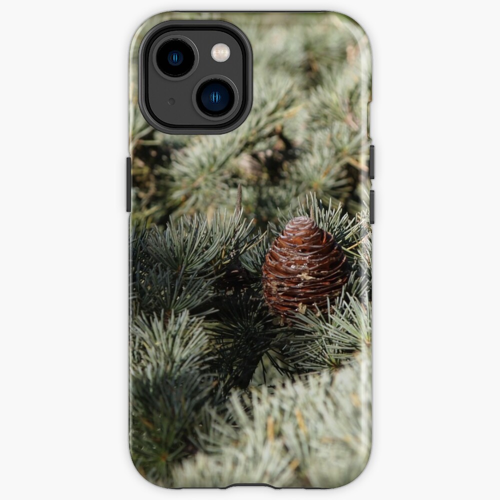 In the woods - Fir Tree iPhone Case