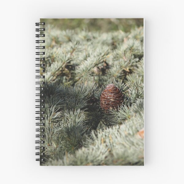 Item preview, In the woods - Fir Tree designed and sold by Douglas E. Welch Design and Photography.