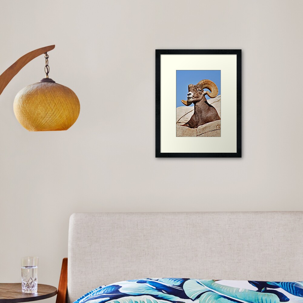 Item preview, Framed Art Print designed and sold by MaluC.