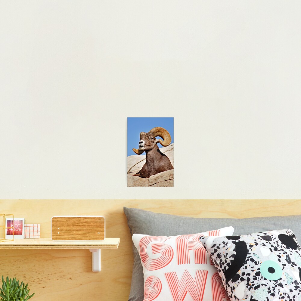 Item preview, Photographic Print designed and sold by MaluC.