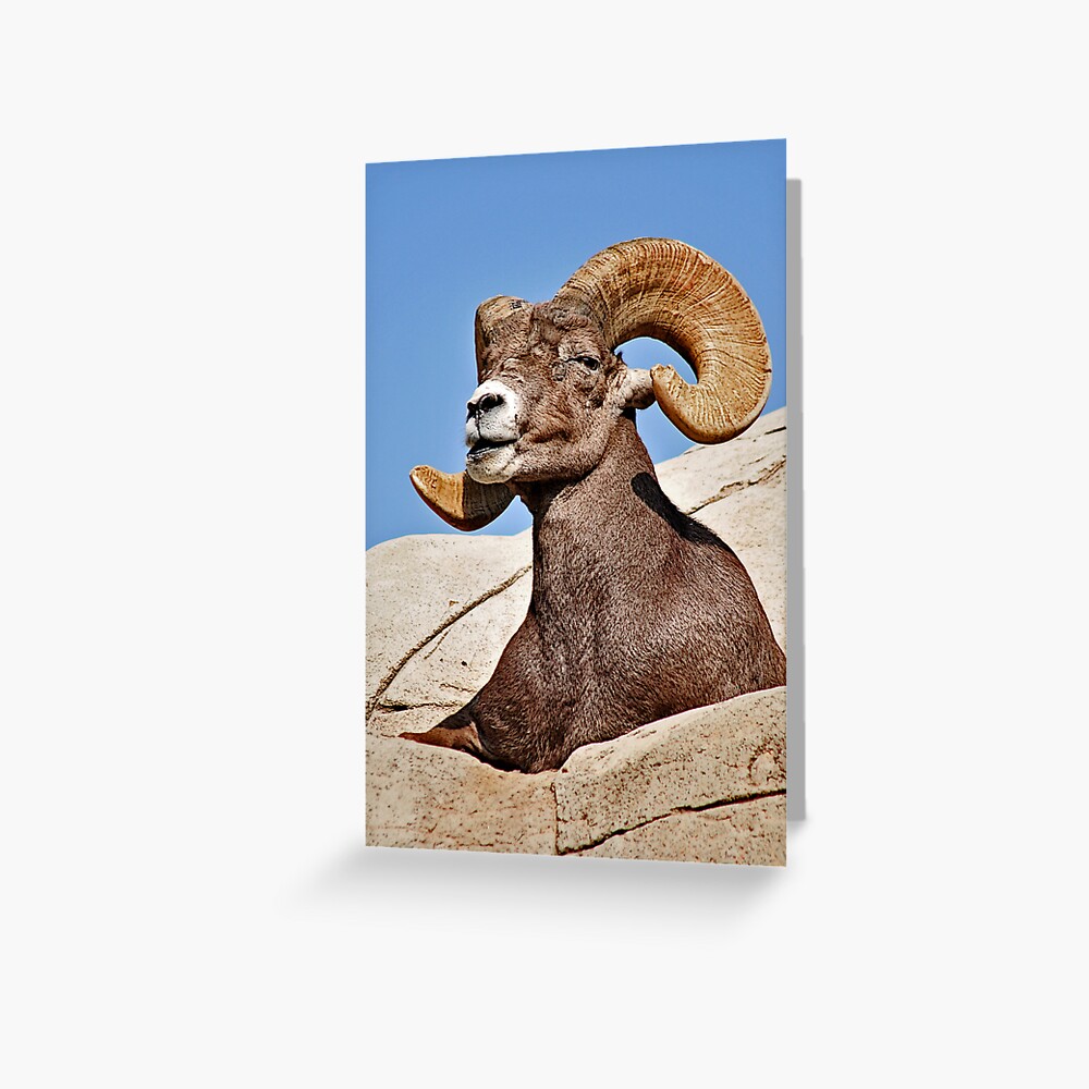 Item preview, Greeting Card designed and sold by MaluC.