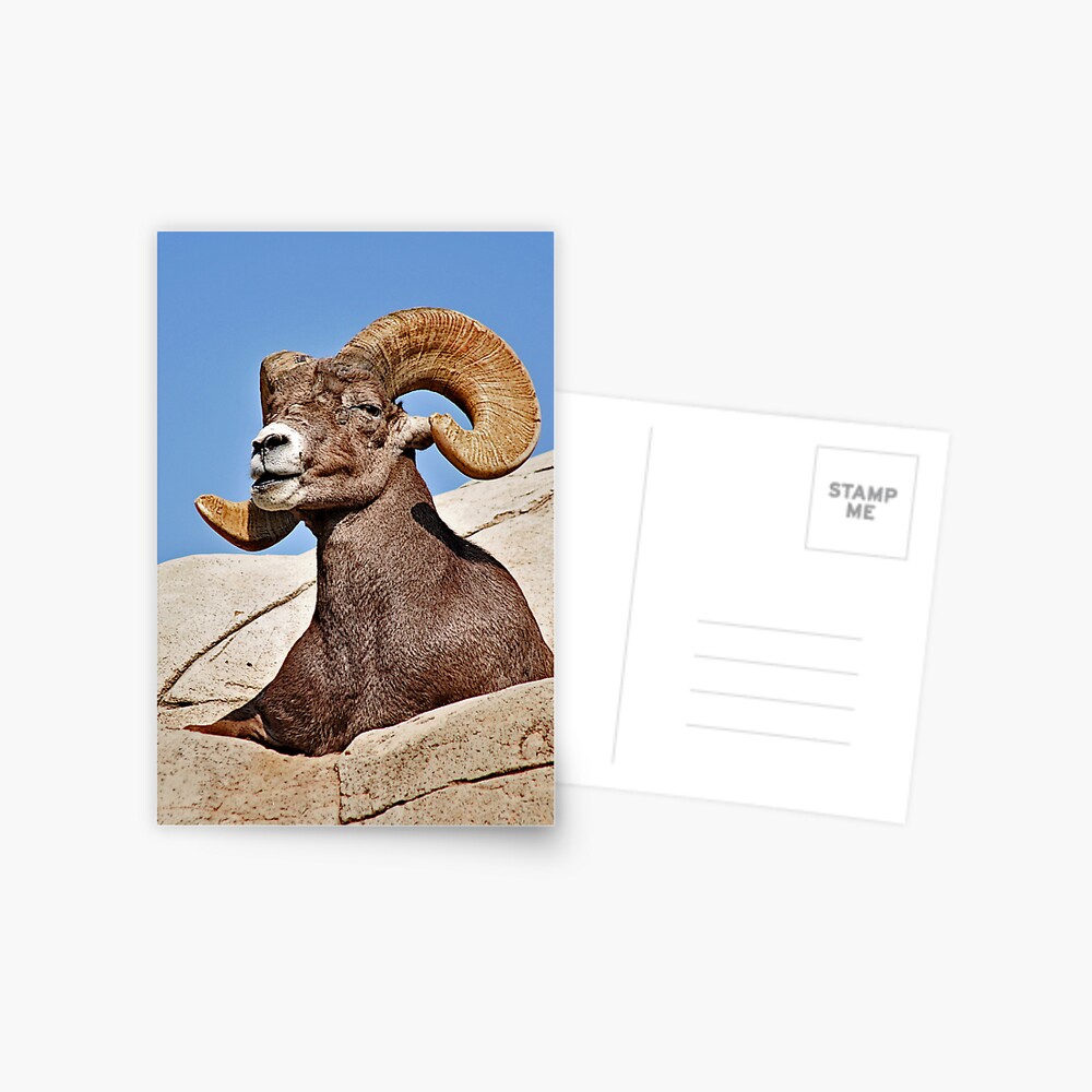 Item preview, Postcard designed and sold by MaluC.