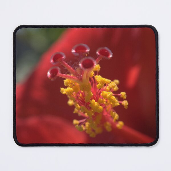 Item preview, Hibiscus Flower Pollen Microscope Photo in The Wild designed and sold by Petalgrain.