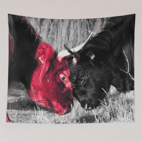 Item preview, Highland Cattle Fighting Red/ Swiss Artwork Photography designed and sold by Raphael Wolf.