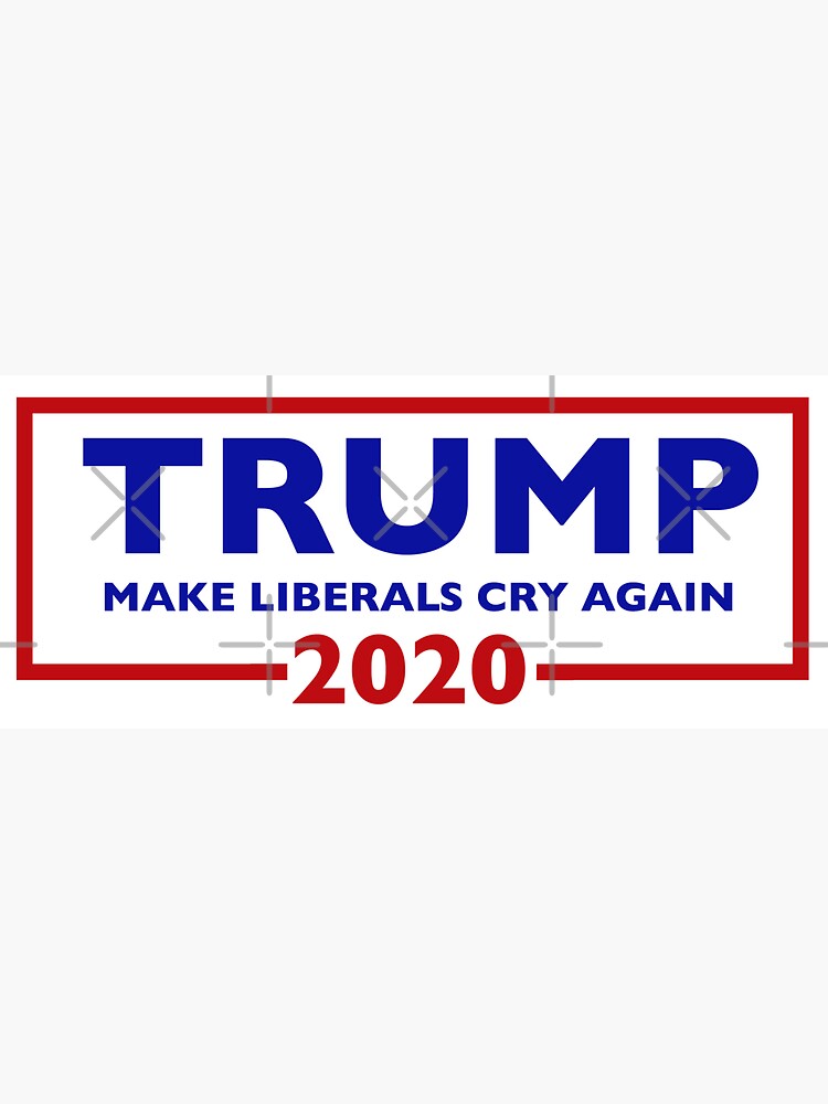 2 PK TRUMP F*CK DEMOCRAT ANTI SNOWFLAKES HELMET ANTI DEMOCRAT MAGA DECAL STICKER