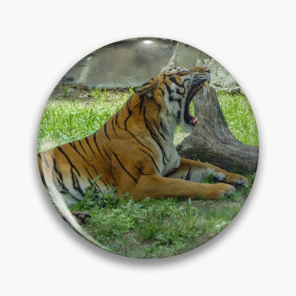Item preview, tiger yawn designed and sold by Perggals© - Stacey Turner.