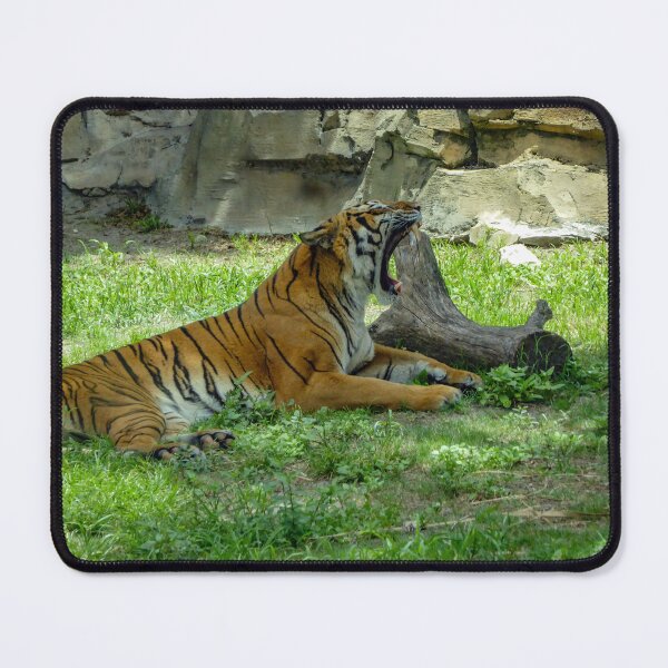 Item preview, tiger yawn designed and sold by Perggals© - Stacey Turner.