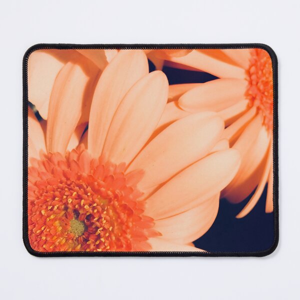 Item preview, Gerbera daisies designed and sold by mariepic.