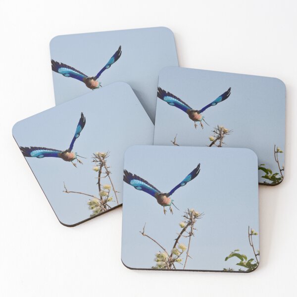 Item preview, HuntingBird designed and sold by hayleychard.