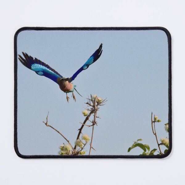 Item preview, HuntingBird designed and sold by hayleychard.