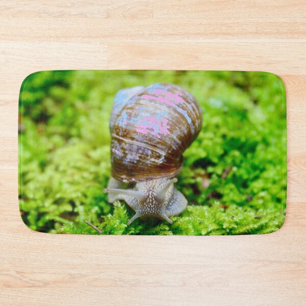 Artikelvorschau, Weinbergschnecke – Ruhe auf grünem Moos / Swiss Artwork Photography entworfen und verkauft von Raphael Wolf.