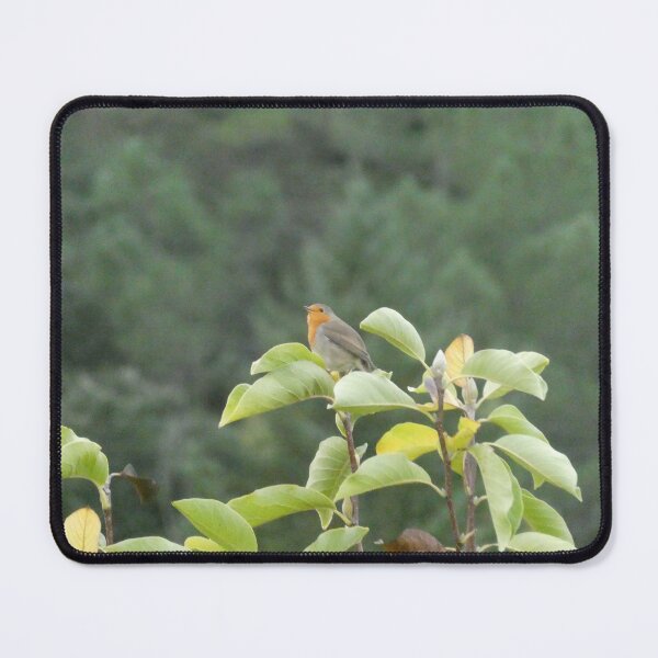 Item preview, a robin in my garden designed and sold by MirelleHDB.
