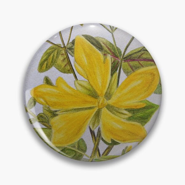 Item preview, Hypericum perforatum designed and sold by P. Le Sommer.