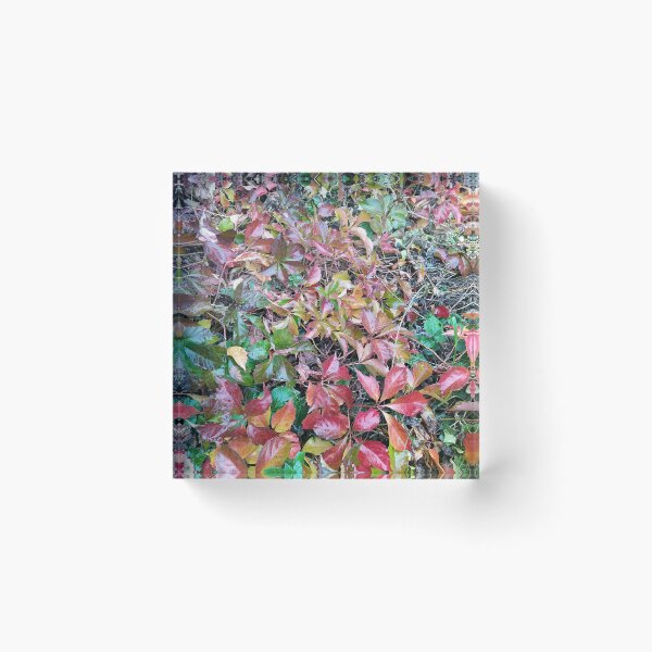 Item preview, the flamboyant autumn designed and sold by MirelleHDB.