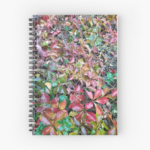 Item preview, the flamboyant autumn designed and sold by MirelleHDB.