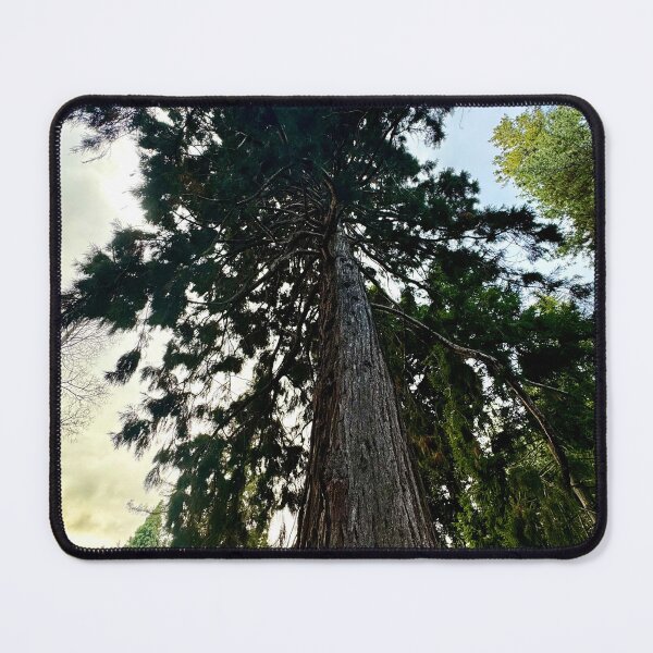 Item preview, Great tree- Tasmania designed and sold by Aesthetic4me.
