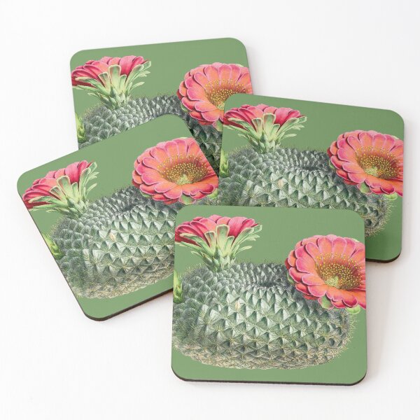 Item preview, Fishhook Cactus Plant designed and sold by AngyDesigns49.