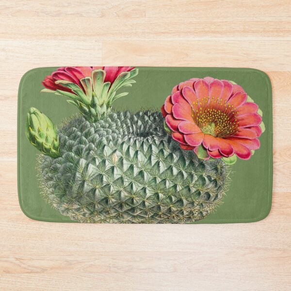 Item preview, Fishhook Cactus Plant designed and sold by AngyDesigns49.