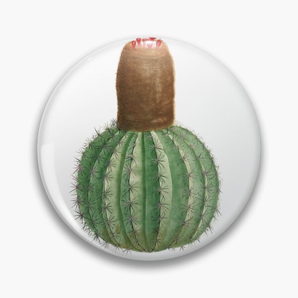Item preview, Melocactus cactus plant designed and sold by AngyDesigns49.