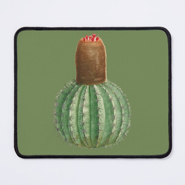 Item preview, Melocactus cactus plant designed and sold by AngyDesigns49.