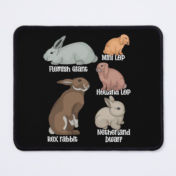 Item preview, Rabbit Lover Kids Bunny Pet Boys Rabbit Species Rabbit designed and sold by DSWShirts.