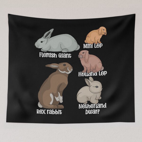 Item preview, Rabbit Lover Kids Bunny Pet Boys Rabbit Species Rabbit designed and sold by DSWShirts.