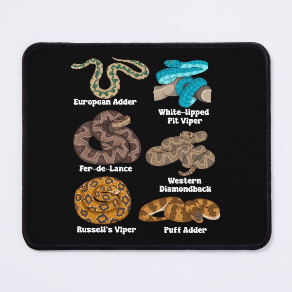Item preview, Snake Lover Kids Herpetologist Boys Species Snakes designed and sold by DSWShirts.