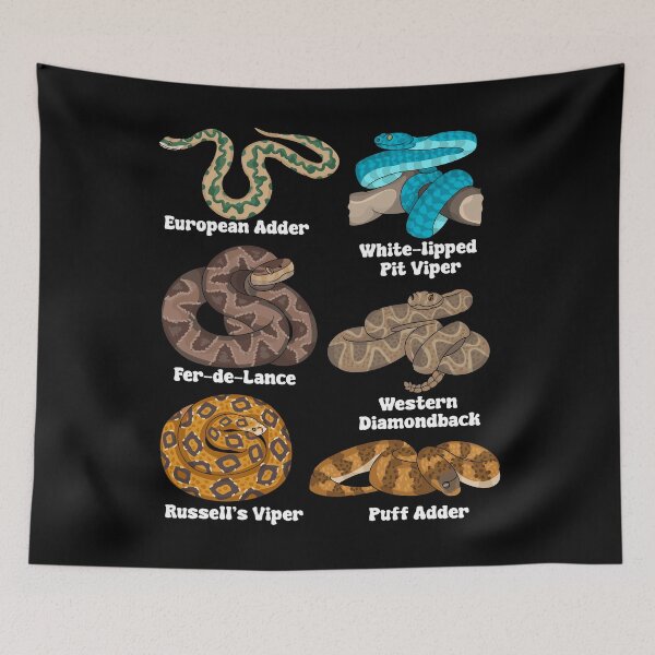 Item preview, Snake Lover Kids Herpetologist Boys Species Snakes designed and sold by DSWShirts.