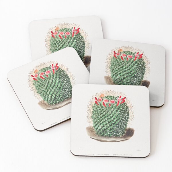 Item preview, Pincushion Cactus (Mammillaria Dolichocentra) by Charles Antoine Lemaire designed and sold by AngyDesigns49.