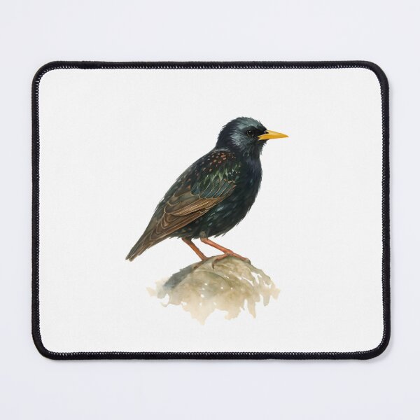 Item preview, Blackbird (Turdus merula) designed and sold by HOMETOWN86.