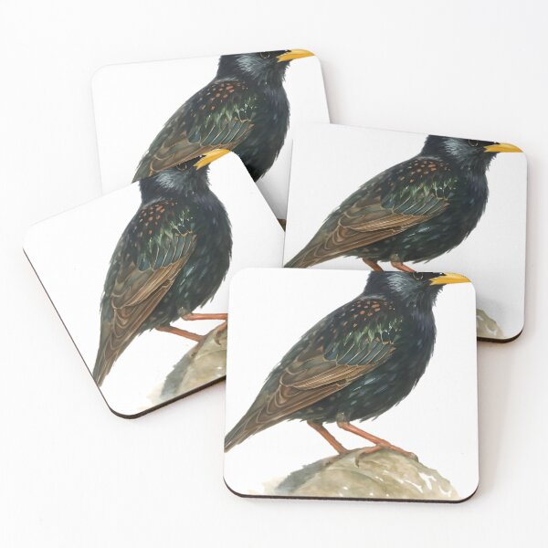 Item preview, Blackbird (Turdus merula) designed and sold by HOMETOWN86.
