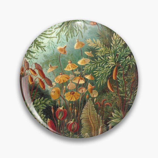Item preview, Muscinae (Mosses) - Ernst Haeckel - Vintage Natural History Art designed and sold by rapplatt.