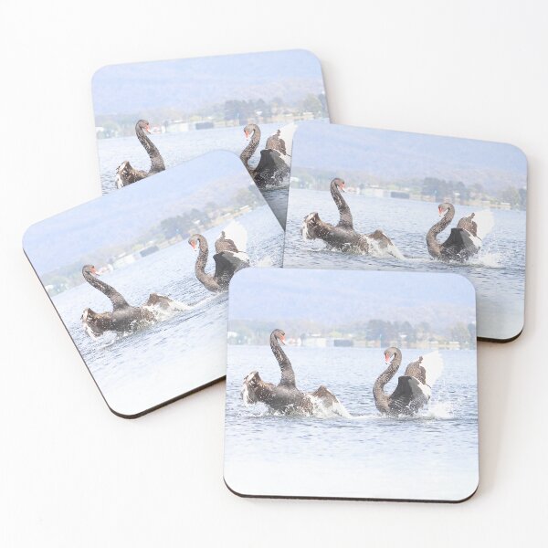 Item preview, When Swans Fight designed and sold by Melville.Collective.