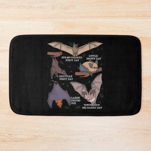 Item preview, Bat Lover Kids Bat Species Biology Bats designed and sold by DSWShirts.