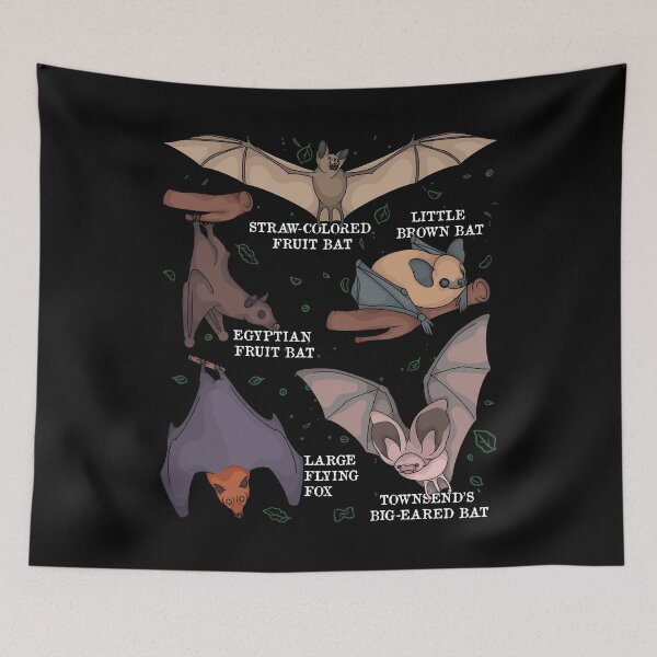 Item preview, Bat Lover Kids Bat Species Biology Bats designed and sold by DSWShirts.