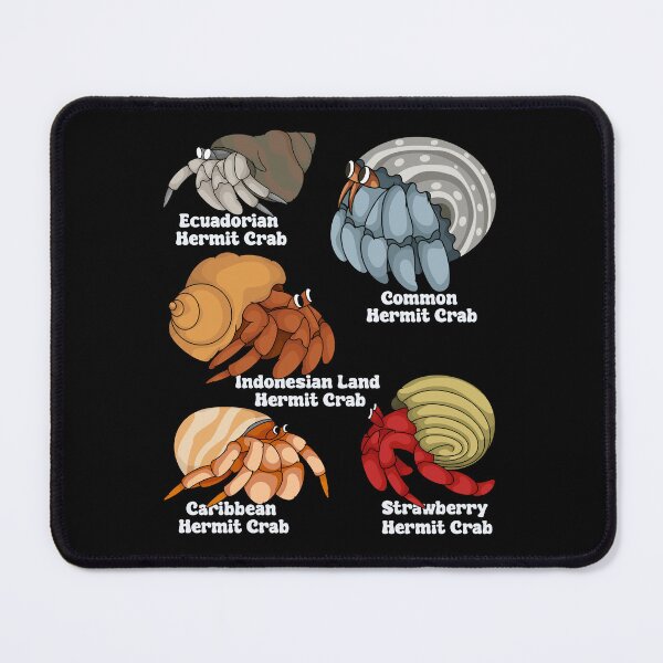 Item preview, Hermit Crab Lover Kids Aquarium Species Hermit Crabs designed and sold by DSWShirts.