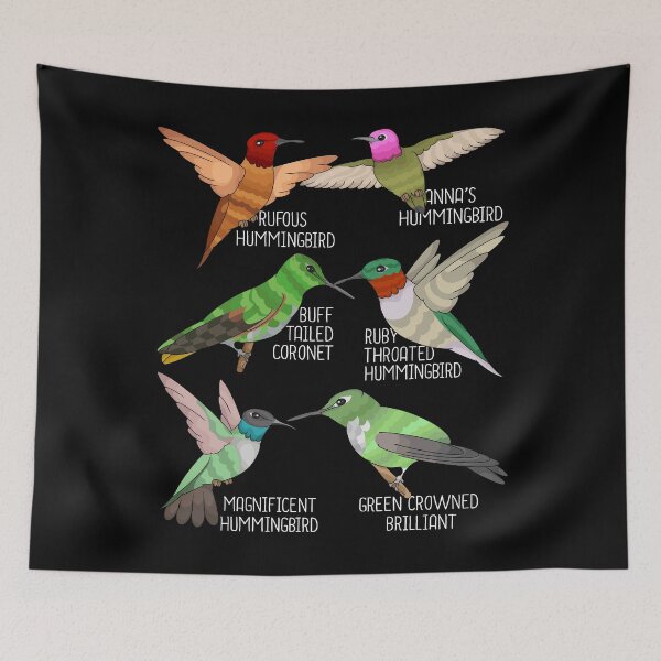 Item preview, Hummingbird Species Bird Watching Lover Hummingbirds designed and sold by DSWShirts.