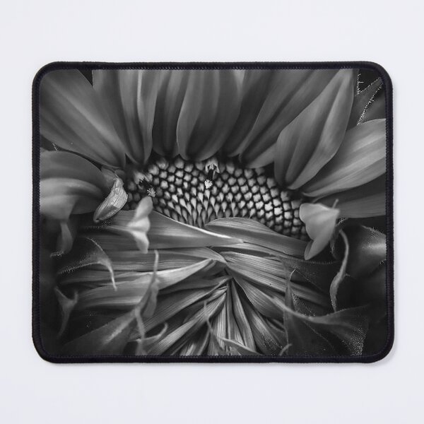 Item preview, "Peekaboo" Beautiful Sunflower Opening designed and sold by PyxieZen.