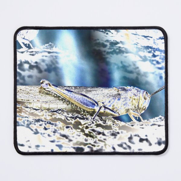Item preview, Grasshopper in shades of blue – Sublime insect of silence / Swiss art photography designed and sold by Raphael Wolf.