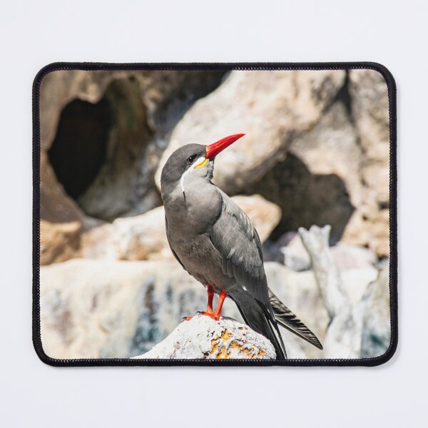 Item preview, Inca Tern designed and sold by Imbeccable Images.