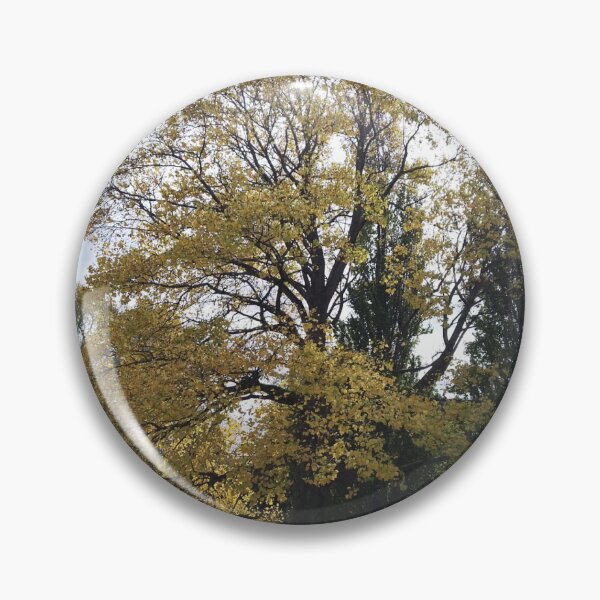 Item preview, Golden Glory – Sunlit Tree in Autumn Park designed and sold by Happy-Images.