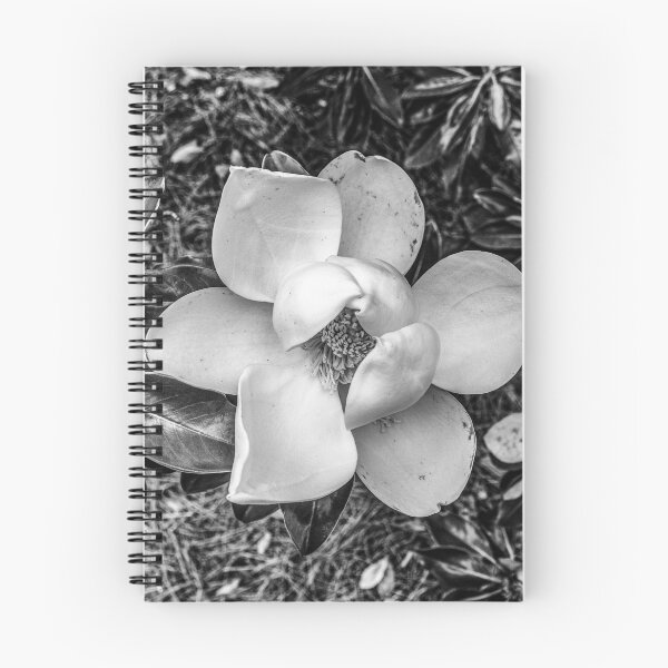 Item preview, Magnolia designed and sold by Imbeccable Images.