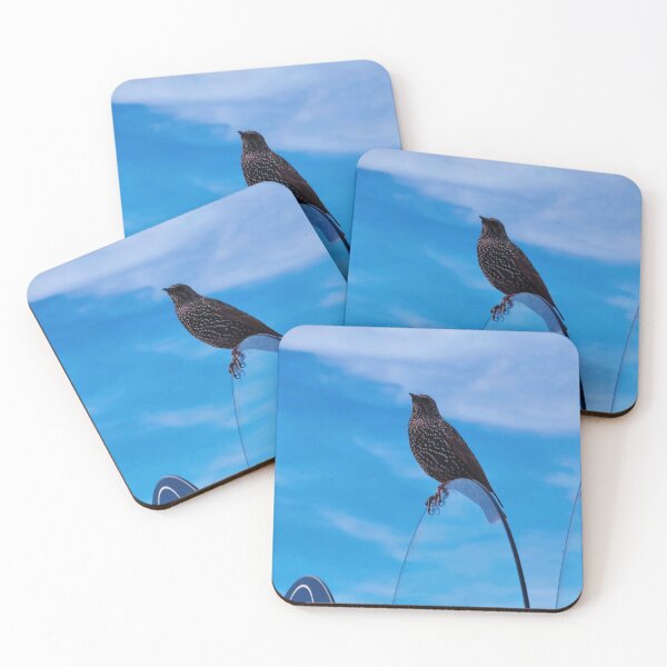 Item preview, A Starling Unwittingly Becomes a bird of Paradise designed and sold by chipshopchippy.