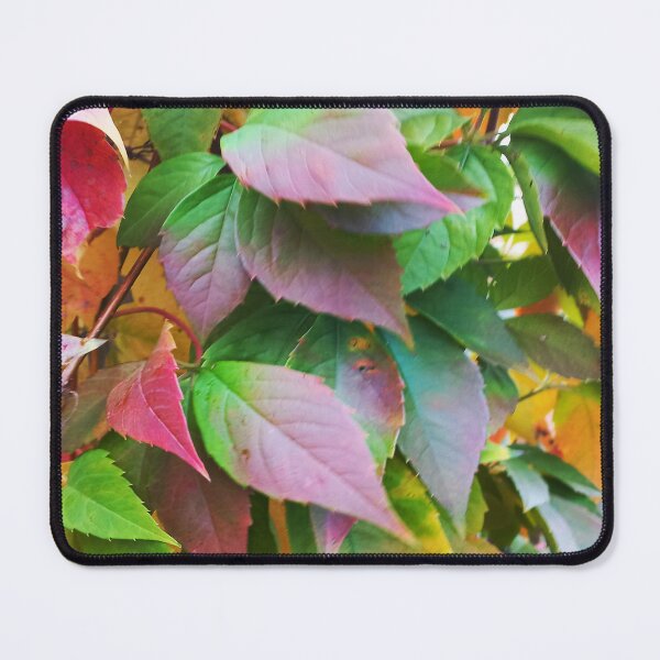 Item preview, Autumn leaves designed and sold by Robert Elfferich.