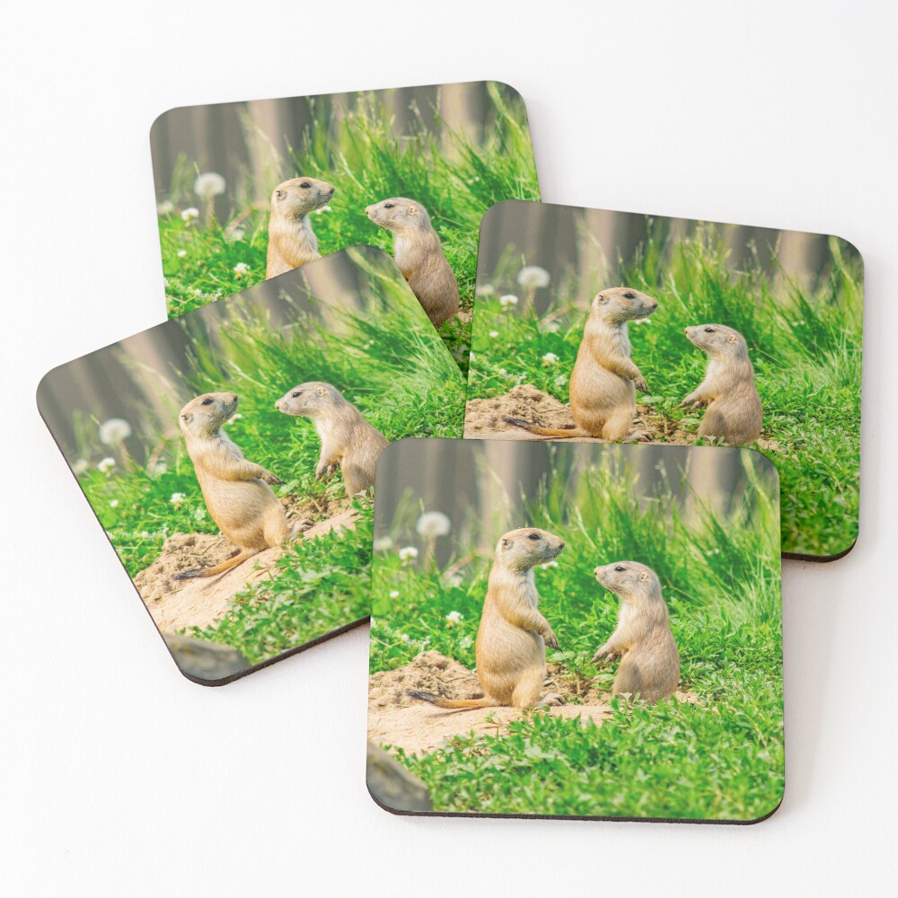 Item preview, Coasters (Set of 4) designed and sold by ImbeccableImage.