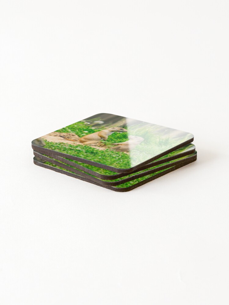 Thumbnail 4 of 5, Coasters (Set of 4), Prairie Conversation designed and sold by ImbeccableImage.