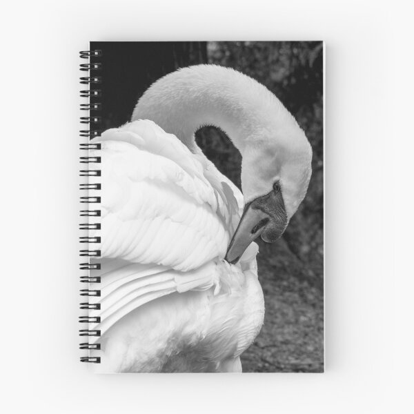 Item preview, Preening designed and sold by Imbeccable Images.