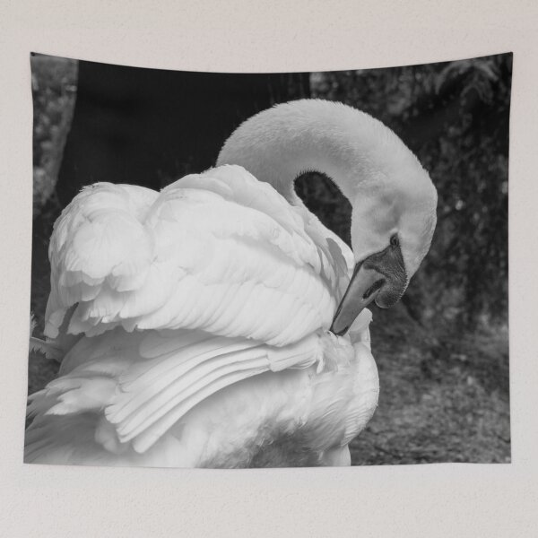 Item preview, Preening designed and sold by Imbeccable Images.