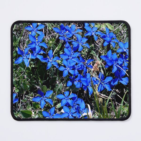 Item preview, Alpine flowers Swiss Alps designed and sold by nikawanders.
